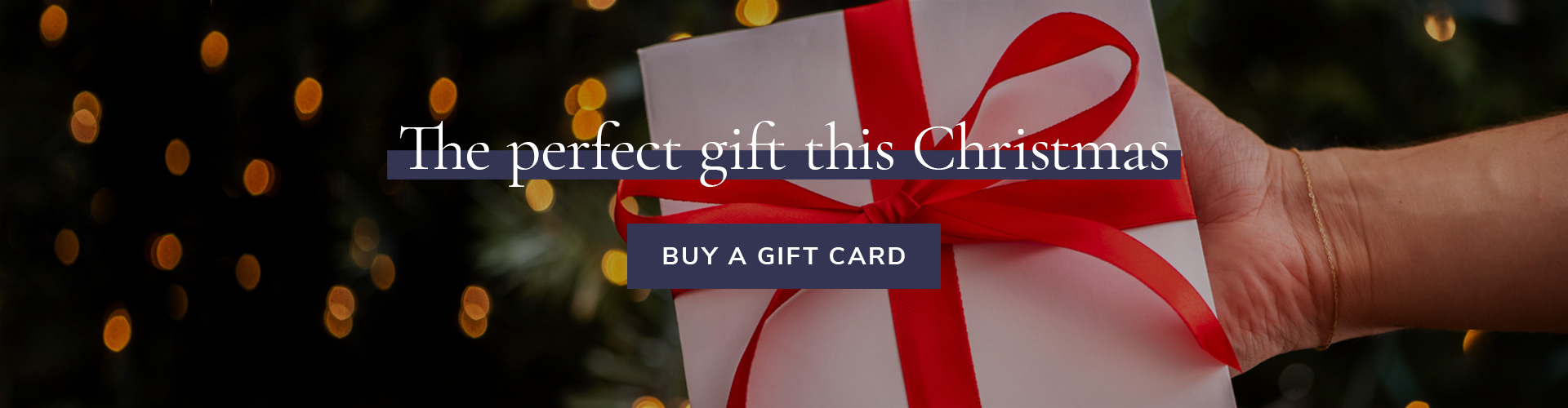 View our events for the upcoming holiday season. Christmas at The Prince Regent in London