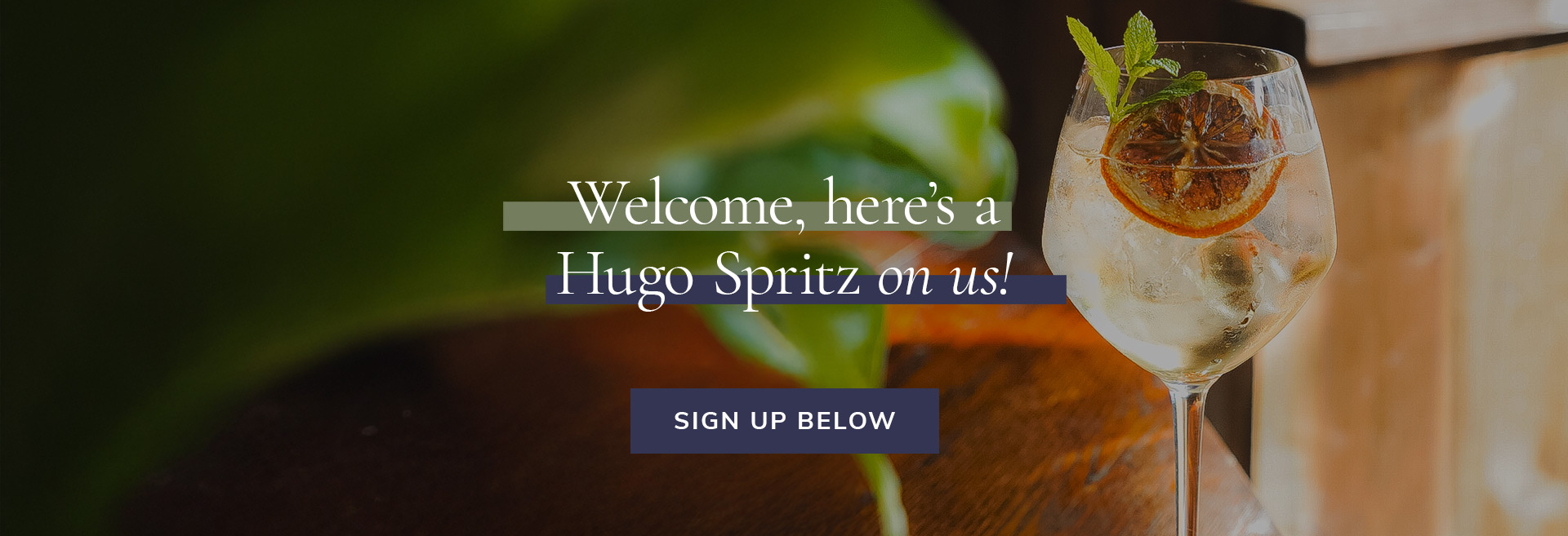 Sign up to the newsletter at The Prince Regent